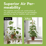 2 Pieces 4MM Width Bendable Coir Pole for Climbing Plants Growth(60cm)