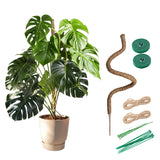 2 Pcs 4MM Width Bendable Coir Pole for Climbing Plants Growth-Bending Version(100cm)