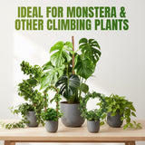 2 Pieces 7MM Width Bendable Coir Pole for Climbing Plants Growth(120cm)